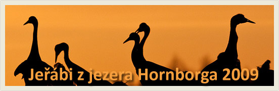 Page 7 of 7 Jezero Hornborga patří k nezapomenutelným místům. Myslím, že se tam ještě několikrát vrátím, i když na příští rok mám už jiné plány.