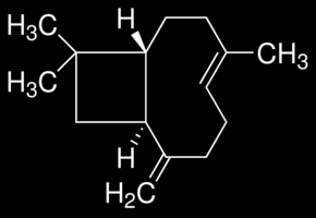 α-humulen β-karyofyllen Typickým zástupcem aromatických uhlovodíků silic je p-cymen, který se vyskytuje v tymiánu, bazalce, ale i mnoha dalších rostlinách.[1,