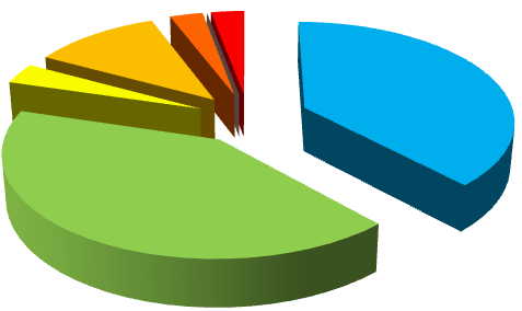 Úklid (38 %) Observace (41 %) Kontrola bezpečnosti vybavení (4 %) Přestávka (11 %) Administrace (3 %) Poskytnutí záchrany tonoucím a první pomoci (0 %) Jiná činnost (3 %)