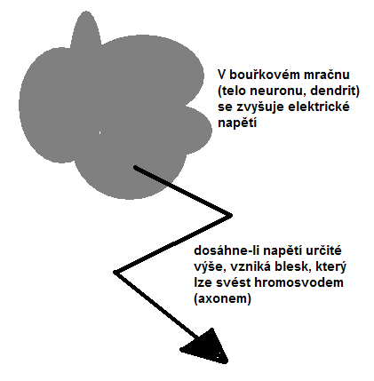 MODUL XLII: PORUCHY CENTRÁLNÍHO NERVOVÉHO SYSTÉMU Somatologie: Základní morfologickou jednotkou nervové tkáně je neuron.