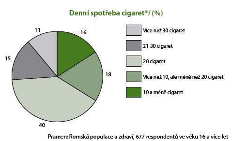 Zdravotní stav romské populace dospělí Romská