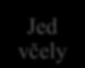 Jed včely Api m 1 Phospholipase A2 Jed vosy Ves v 1 Phospholipase A1 výroba alergenů v rekombinantní neglykosylované (CCD free) formě Api m 2 Hyaluronidase Api m 3 Acid Phosphatase Ves v 2