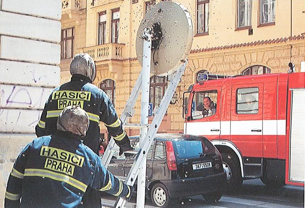 Ochrana při nebezpečí z ohrožení zvířaty Po dohodě s odborníkem lze přikročit i k hubení hmyzu - smetení do nádob s uzávěrem, -