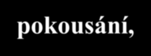 Koně: - snaží se utrhnout a divoce