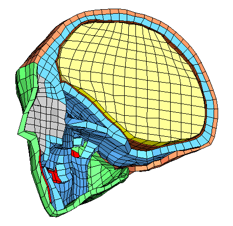 MODELOVÁNÍ HETEROGENNÍCH MATERIÁLŮ A BIOMECHANICKÝCH SYSTÉMŮ Vývoj