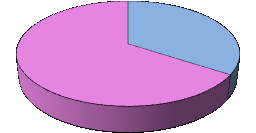 Graf 17 Pohlaví 34% muž 66% žena Zdroj: autorka 8. 8 Závěrečná zpráva Respondenti se při nakupování nejčastěji setkávají s klamavou reklamou, coţ znázorňuje graf 1.