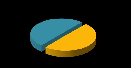 SOCIO-DEMO Pohlaví Velikost místa bydlitě 10,8 % 2,2% 8,5% 5,2% 5,3% Socio-ekonomický