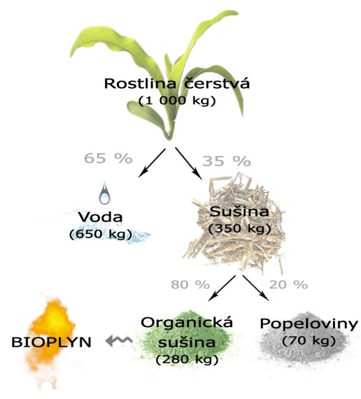 Suroviny pro výrobu bioplynu: - Zdrojem bioplynu jsou bakterie produkující bioplyn, tyto bakterie rozkládají především polysacharidy, tuky a bílkoviny.