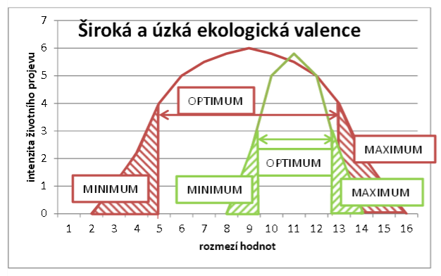 Ekologická valence široká - druhy euryekní (větší adaptabilita) úzká - druhy stenoekní (citlivější na změny