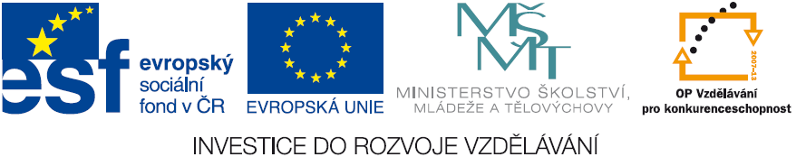 Projektoví partneři, pod vedením Vysoké školy finanční a správní (VŠFS), pomocí tohoto projektu podporují vznik sítě spolupracujících subjektů, na jejichž základě by mohly v budoucnu vznikat