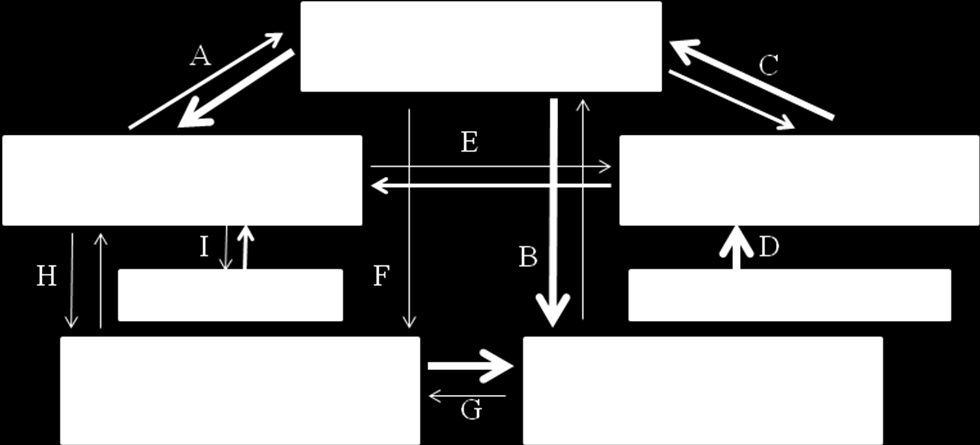 Kapitola 9: Základní vazby a vzájemné synergie individuálních projektů národních v oblasti terciárního vzdělávání 9.1. Vymezení rozsahu vazeb 9.2. Popis jednotlivých vazeb a synergií 9.1. Vymezení rozsahu vazeb 186.