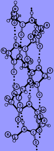 TRICHOLOGIE fylogeneze,ontogeneze,struktura,