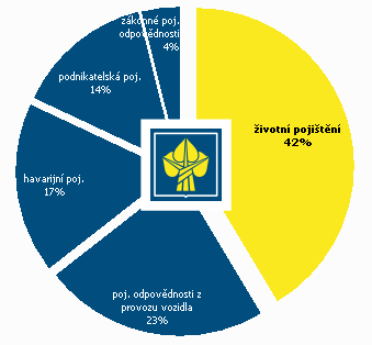 2 Profil ţivotního pojištění V ţivotě můţe kohokoliv potkat řada nečekaných událostí radostných, ale i těch, které přidělávají vrásky. Tragická nehoda či váţná nemoc mu znemoţní dostát svým závazkům.