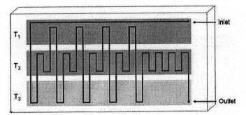 Vícefunkční chemické a biochemické mikrosystémy Strana 5 Mikrofluidní čip pro