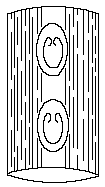 Rod: Megaphyton ARTIS, 1825 Megaphyton approximatum LINDLEY & HUTTON, 1837 (Tab. VI.; text obr. 10) Obr. 10: Listová jizvička u druhu Megaphyton approximatum (originální kresba).