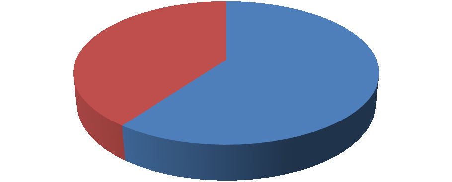 pouze 60 % respondentŧ si specifika kultury v zemi, kterou navštívili, zjišťovali a někteří z nich připsali, ţe si tyto specifika zjišťují pouze v případě, ţe navštěvují země mimo Evropu, jelikoţ