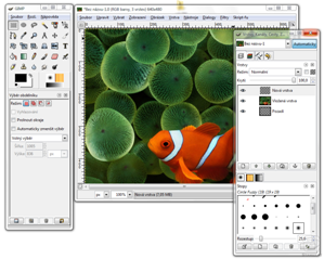 Obrázek 3: The Gimp prostředí programu Závěr Cílem této práce bylo přiblížení jednotlivých typů rastrových formátů a prvků s nimi souvisejícími.