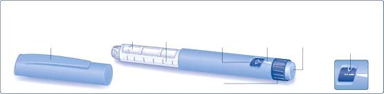 Jehla (příklad) Vnější kryt jehly Vnitřní kryt jehly Jehla Papírový kryt Pero Victoza Uzávěr pera Zásobní vložka Stupnice na zásobní vložce Displej Ukazatel dávky Dávkovací tlačítko Symbol pro