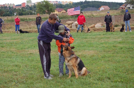 Návštěvníci divadla tak mají možnost zhlédnout nová, pro ně zcela neznámá, představení.