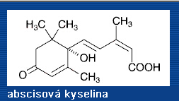 Regulace biochemických dějů Autoregulace procesů v buňce různé mechanismy: enzymová hormonální Enzymová regulace: ovlivňování aktivity enzymů u jednobuněčných organismů inhibice a aktivace indukce a