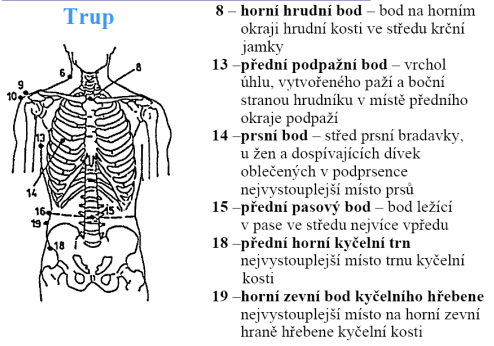 Tělesné rozměry a jejich druhy pro konstrukci oděvů Tělesné rozměry - jsou vzdálenosti mezi stanovenými body (somatometrickými), čarami a rovinami přesně zjištěnými na povrchu těla měřené osoby.