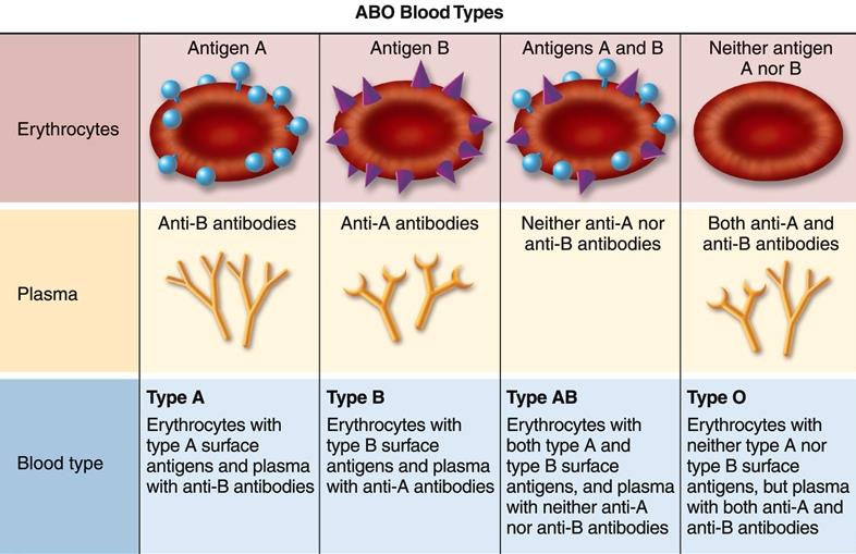 AB0