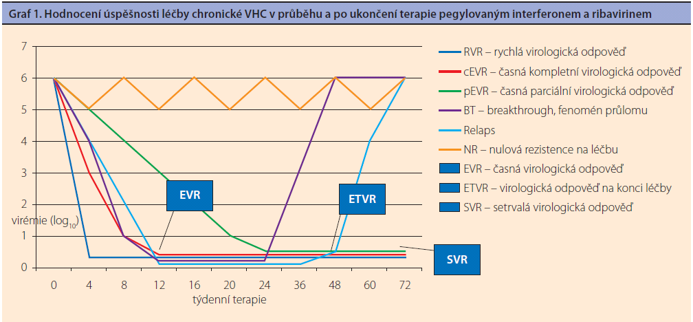 Odpověď na léčbu HCV Vitouš, A.