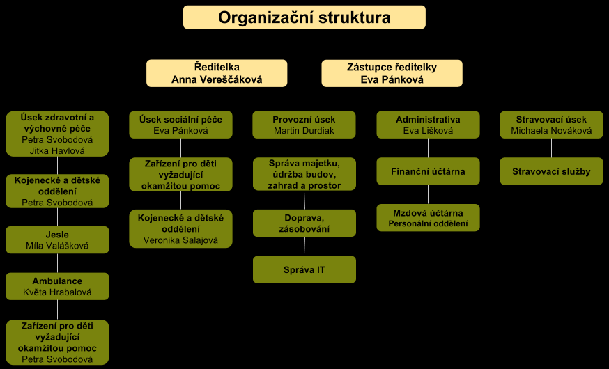 PŘEHLED JEDNOTLIVÝCH ZAŘÍZENÍ Zařízení Typ péče Typ provozu Provozní doba Kapacita Kojenecké a dětské oddělení, Pekárkova 572/5 Zdravotní, výchovná, sociální, speciální péče o děti 0-3 roky