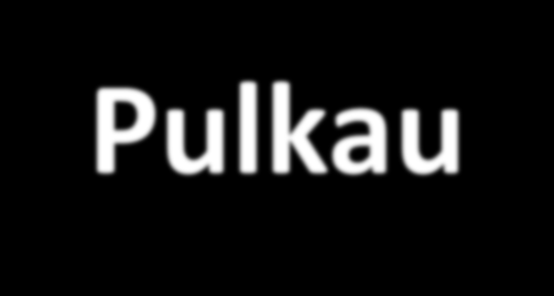 Vliv rakouské Pulkavy na jakost vody v Dyji Pulkava/Pulkau 52 km dlouhý tok, s průměrným průtokem 0,48 m 3 /sec, v horní části povodí - romantický meandrující