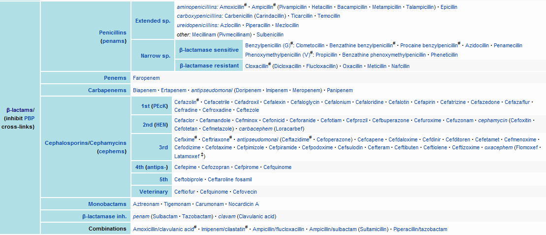 β-laktamy peniciliny cefalosporiny