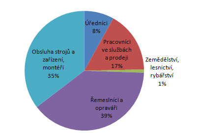 nutné specializované vzdělání, které je nutné získat na vyšší či vysoké škole či prostřednictvím jiných specializovaných studií.