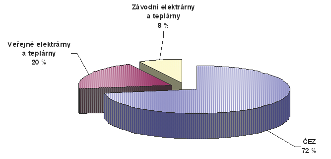 Základním energetickým zdrojem v bilanci ČR jsou tuhá paliva (zejména hnědé a černé uhlí, částečně i biomasa a odpady).