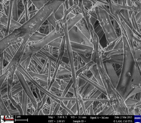 Tabulka 2: Přehled výsledků TGA pro magnetická nanovlákna z AC electrospinningu. Vzorek nanovláken Hmotnost residua/ hmotnost Hmot.