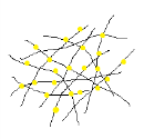 (a) Obrázek 3: Snímky bifunkčního scaffoldu PLC (Rhod) + PVA (FITC). (a) Snímek z elektronového mikroskopu. Zvětšení 5000x. (b) Snímek z fluorescenčního mikroskopu. Zvětšení 20