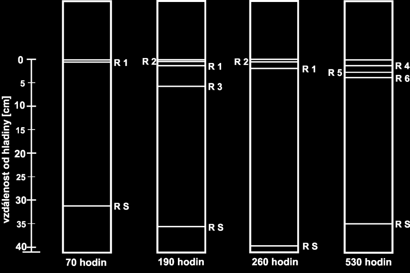 (0 hodin) do maximálně 530 hodin. V jednom časovém úseku však byla současně byly zaznamenána nejvýše 4 rozhraní (v čase 530 hodin). V suspenzi tedy vzniklo 5 vrstev.