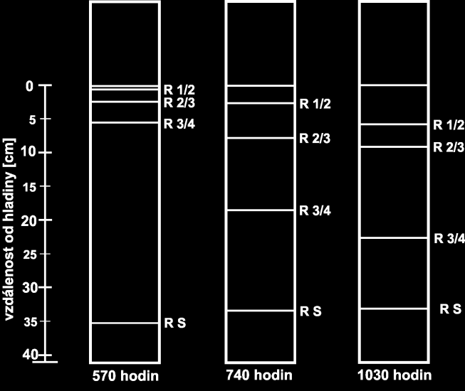 vzdálenost od hladiny [cm] a) b) 0 5 10 15 20 25 30 35 40 0 100 200 300 400 500 R 1 R 2 R 3 R 4 R 5 R 6 R S Obr.