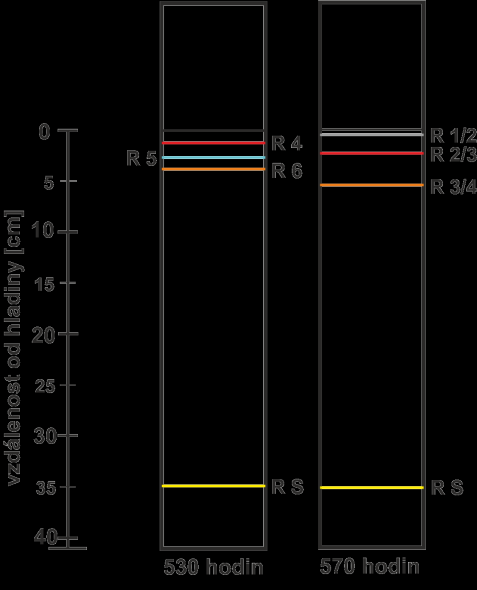 a) b) NaCl NaCl Obr. 30 Porovnání neustáleného vývoje experimentů bez přídavku a s přídavkem NaCl (označeno NaCl): a) stav v čase 190 hodin, b) v čase 380 hodin.