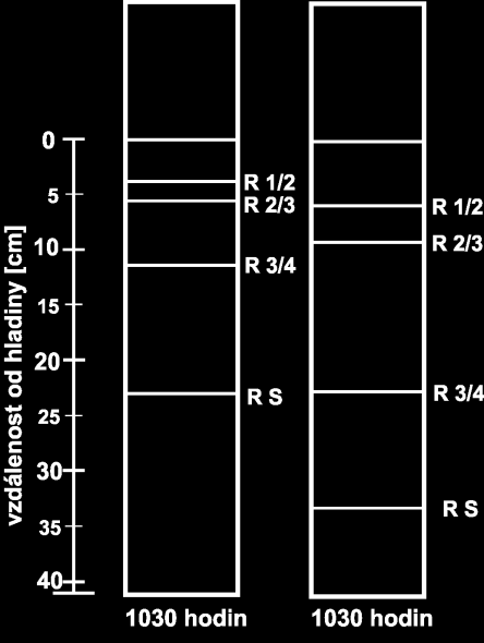 Podobné shody je možné pozorovat i v případě sedimentace s přídavkem NaCl. Rozhraní R 2/3 bylo během neustáleného vývoje zaznamenáno jako rozhraní R 4 a rozhraní R 3/4 jako rozhraní R 6.