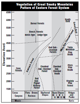 Důležití předchůdci krajinné ekologie Fytocenologie vegetation pattern - popsaný již v 19.