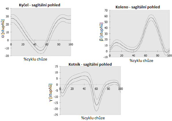 Měření úhlu probíhá po dobu jednoho cyklu chůze, tento úhel je znázorňován do grafů, podobných ukázkám na obrázku 95.