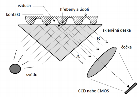 Obr. 28 Princip optického snímače. [20] 6.5.2 Optoelektronické biometrické snímače Jsou vhodné především pro algoritmy rozpoznávání založené na markantech.