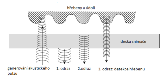 impulsů (4 až 25 MHz). Na plastickém povrchu prstu dochází k interakci zvukových vln s papilárními liniemi a brázdami.