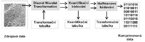 Metoda WSQ nabízí poměrně vysoký komprimační poměr (1:4 až 1:50) s minimální ztrátou zpracovávaných dat a je standardně používána pro výkonnou vizuální a automatizovanou identifikaci osob založenou