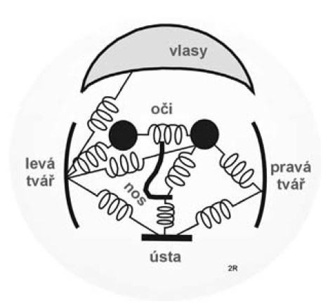 Obr. 62 Fyzický model tváře pomocí pružin. Různé vzdálenosti a deformace markantů definují tváře různých osob. [28] 9.3.