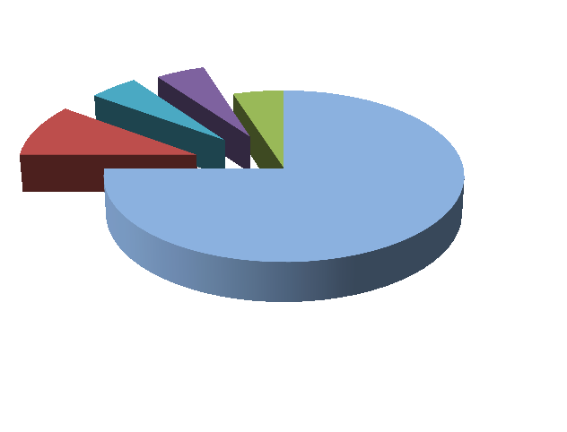 Dotace 75 % - kombinovaný kotel 25% 75% Základní výše dotace Podíl domácnosti Dotace 80 % - bonus za území 5% 20% 75% Základní výše dotace Podíl domácnosti Bonus za území 5% 15% Dotace 85 % - bonus