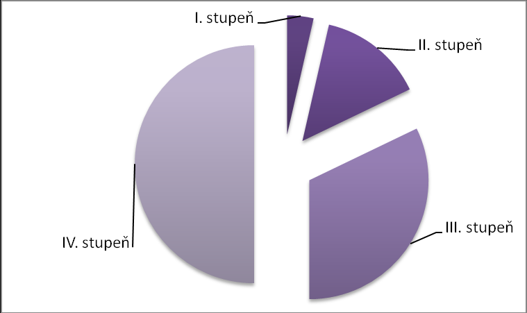 Ke konci roku 2012 tvořili nejpočetnější skupinu klienti ve věku 76-85 let (15 klientů). Druhou nejpočetnější skupinu tvořili klienti ve věku 86-95 let (10 klientů).