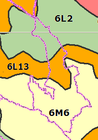 Z obratlovců zaslouţí pozornost výskyt mloka I/58 skvrnitého, - OSTRAVA ULICE kterého PLZEŇSKÁ, je NOVÁ moţné BĚLÁ, nalézt I/56 - v bukových porostech.