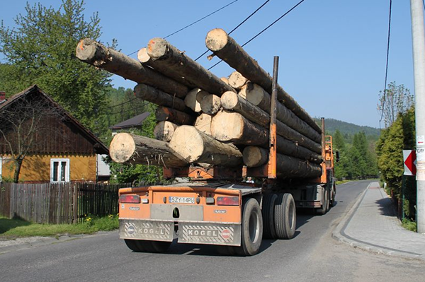 FO53EF10: Přeprava dubových kmenů Na přívěsu nákladního tahače je naloženo celkem 14 kmenů, každý o délce 6,0 m a průměru 45 cm na užším a 55 cm na širším konci, které je třeba dopravit na pilu.