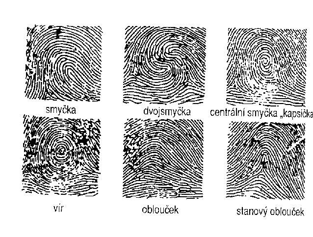 Téma: Je kaţdý otisk prstu jiný, 2.