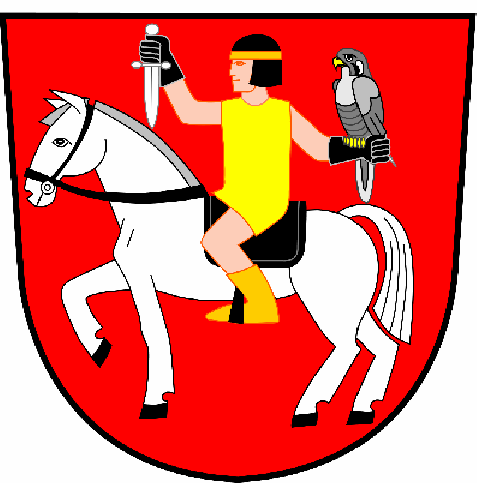 ZÁPIS z veřejného zasedání Zastupitelstva obce Sokolnice, které se konalo ve čtvrtek dne 11. prosince 2008 ve 18,00 hod. v kavárně restaurace U Husara. Přítomni: Dle prezenční listiny.